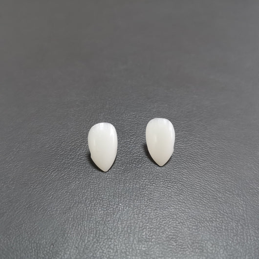 Dentaduras de Vampiro y Zombie para Halloween - Image 6
