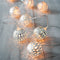 Silver 1M 10 LEDs