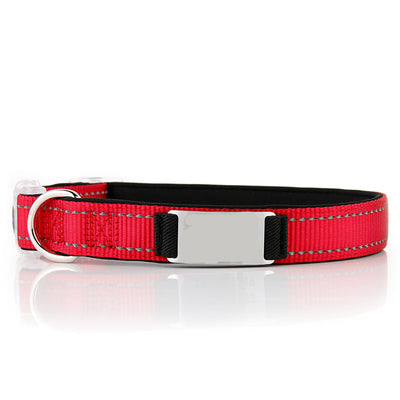 Collar de Perro Personalizado de Nylon - Image 7