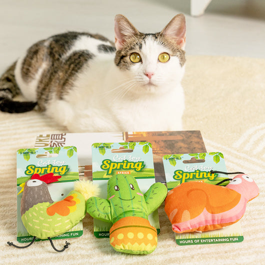 Juguete Interactivo de Menta para Gatos - Alivio de Estrés Felino - Image 13