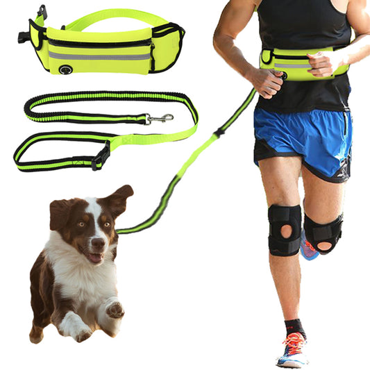 Correa de Tracción Deportiva con Bolsa de Cintura Reflectante e Impermeable