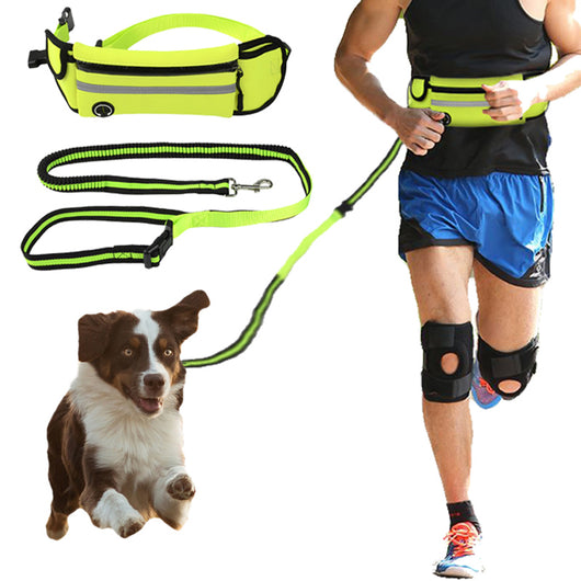 Correa de Tracción Deportiva con Bolsa de Cintura Reflectante e Impermeable