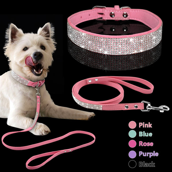 Collar para Perro Estilo Hot Dog