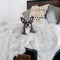 Cama Térmica Premium para Perros - Almohadilla Gruesa de Invierno