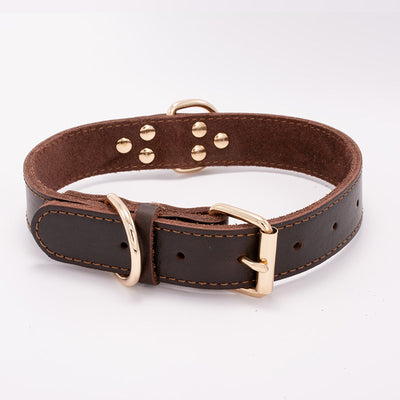 Collar para Perro - Image 8