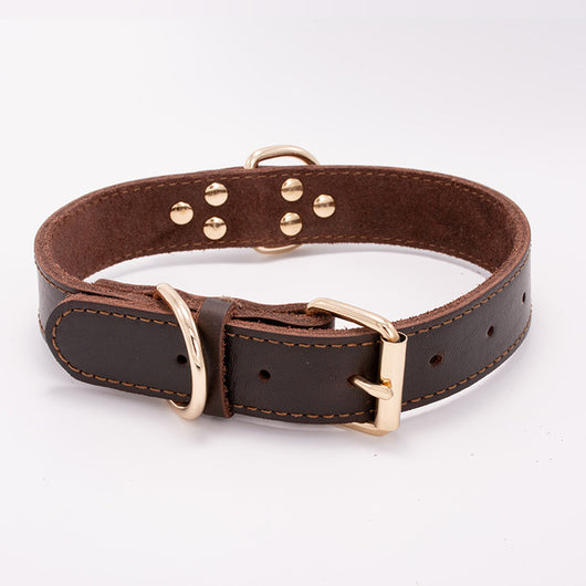 Collar para Perro - Image 8