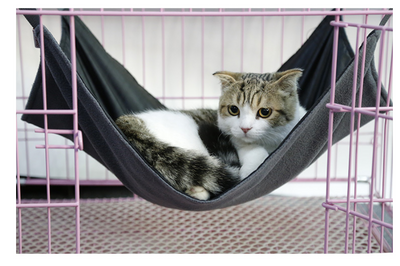 Hamaca para Gatos de Tela Oxford Impermeable - Image 3