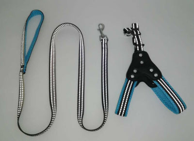 Arnés Reflectante de Malla Transpirable con Cuerda de Agarre para Perros - Diseño Chaleco Brillante con Cristales - Image 9