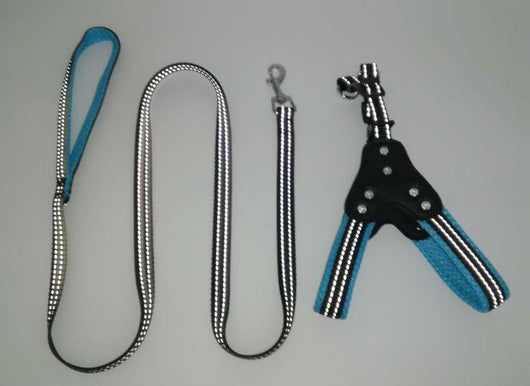 Arnés Reflectante de Malla Transpirable con Cuerda de Agarre para Perros - Diseño Chaleco Brillante con Cristales - Image 9