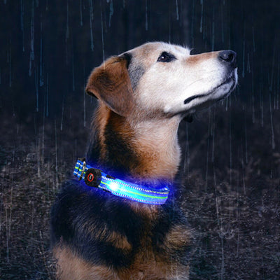 Collar Inteligente para Mascotas con Fibra Óptica, Impermeable y Carga Magnética - Image 9