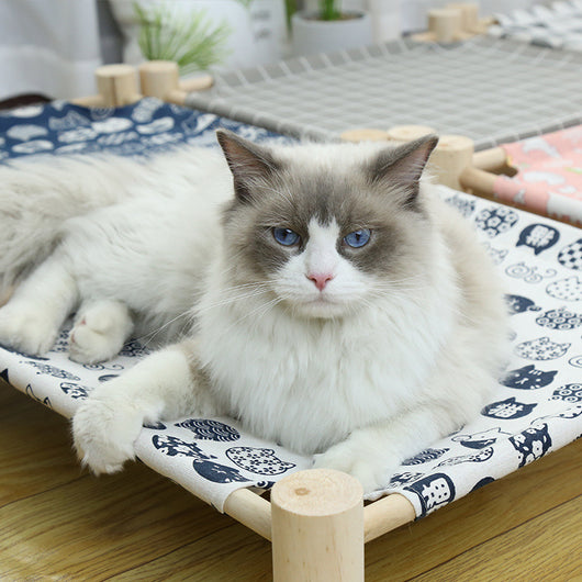 Cama de Camping de Madera para Gatos con Arenero Integrado - Image 2