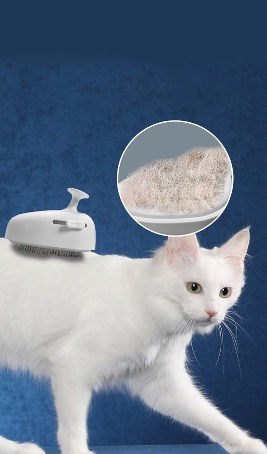 Cepillo de Vapor para Gatos Recargable con Limpieza Automática - Image 18