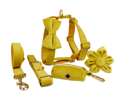 Collar de Terciopelo para Perros - Diseño Elegante y Cómodo - Image 12