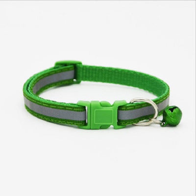 Collar Fluorescente para Perros - Image 13