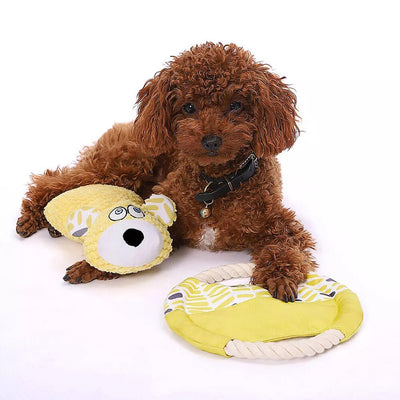 Juguete Mordedor Peluche Osito para Entrenamiento Dental de Mascotas