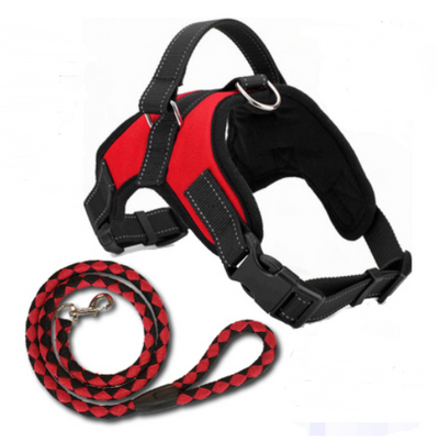 Arnés de Pecho tipo Montura para Perros - Image 10
