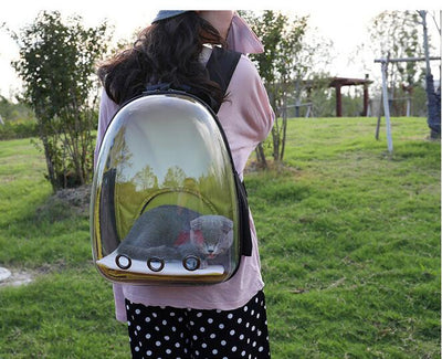 Mochila Transparente para Mascotas - Image 4