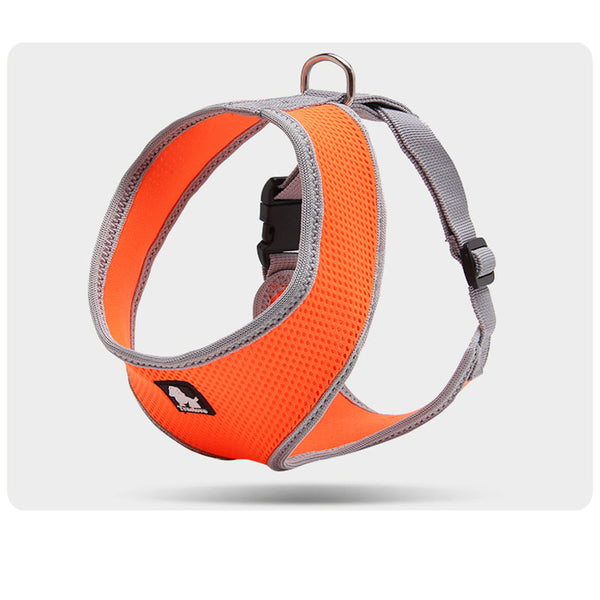Correa de Paseo Resistente para Perros Pequeños