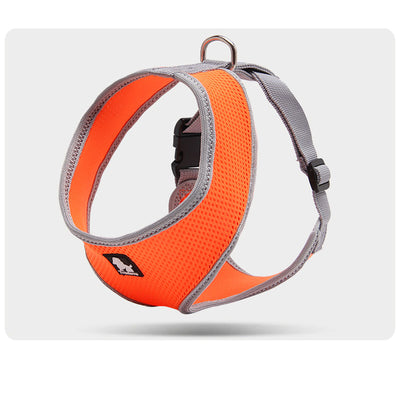 Correa de Paseo Resistente para Perros Pequeños