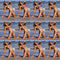 Bikini Brasileño Tanga