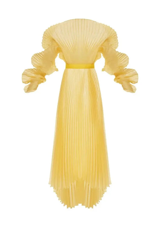 Vestido Largo Plisado Transparente para Embarazadas con Vientre Pronunciado - Image 8
