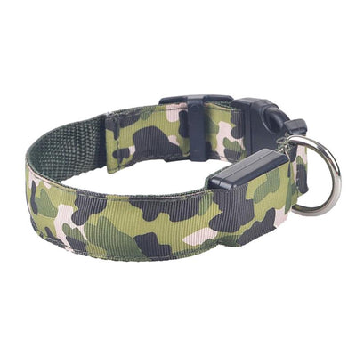 Collar Luminoso Camuflaje para Perros - Seguridad Nocturna - Image 8