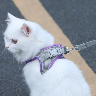 Arnés de Seguridad para Gatos con Correa Antiescapes - Image 8