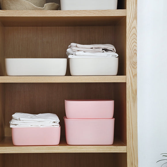Organizador de Ropa Interior y Accesorios