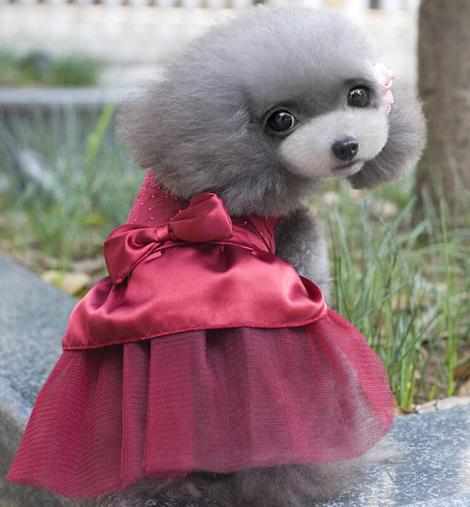 Vestido de Novia para Perros - Image 7