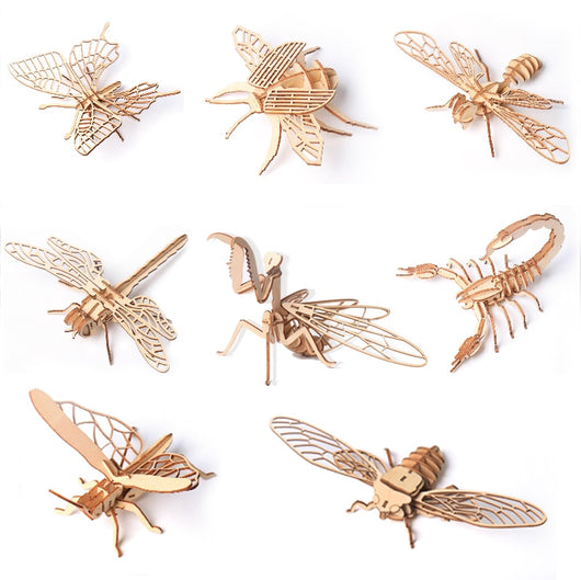 Puzzle 3D de Madera - Modelo de Insecto