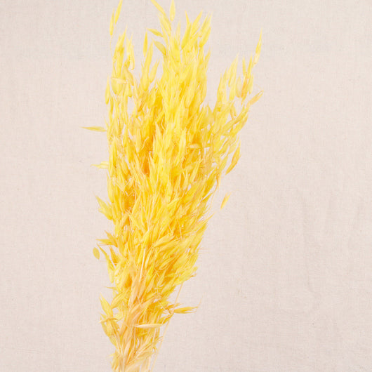 Arreglo Floral Decorativo Creativo para Eventos y Espacios - Image 16