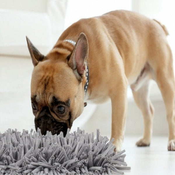 Almohadillas de Olfato para Mascotas - Estimulación Mental y Cansancio Físico