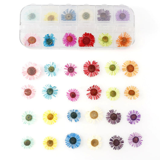 Set de 12 Cajas de Joyas con Flores Secas Naturales - Image 25