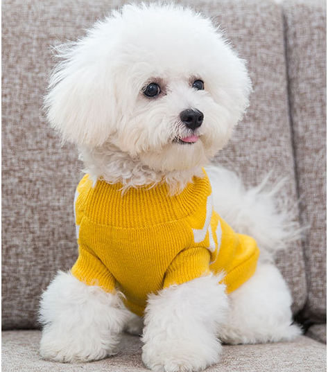 Ropa para Perros - Image 8