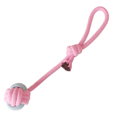 Juguete Masticable de Cuerda para Perros Pequeños - Limpieza Dental Natural - Image 4