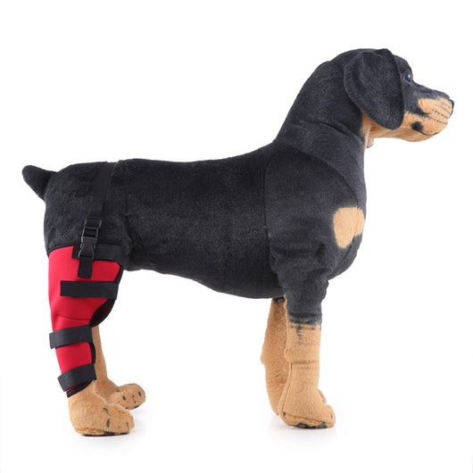 Soporte ortopédico para rehabilitación de patas en mascotas - Image 31