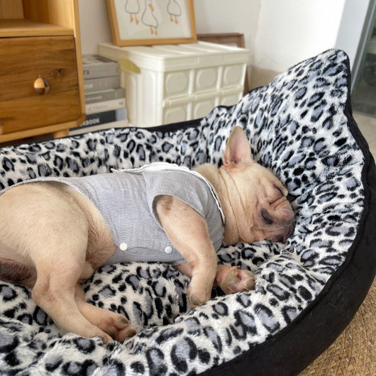 Cama Ortopédica para Perros con Diseño de Bote - Colchón Acolchado Premium - Image 5