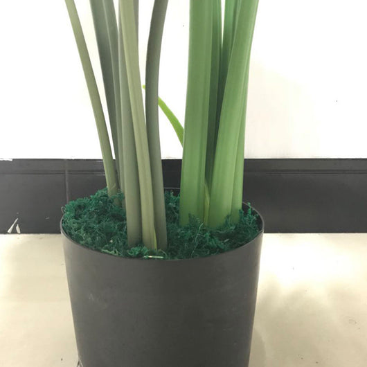 Planta Simulada Nordic 1.2m Espalda de Tortuga - Decoración Europea para el Hogar - Image 3