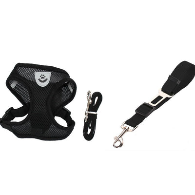 Arnés de Seguridad para Mascotas en Auto - Image 8