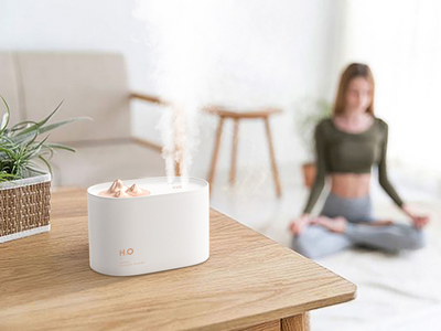White portable humidifier with rose gold mountain-shaped mist outlet, 1000ml capacity, and compact design. - Image 3