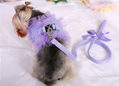 Arnés y Correa para Perro con Encaje Elegante - Image 7