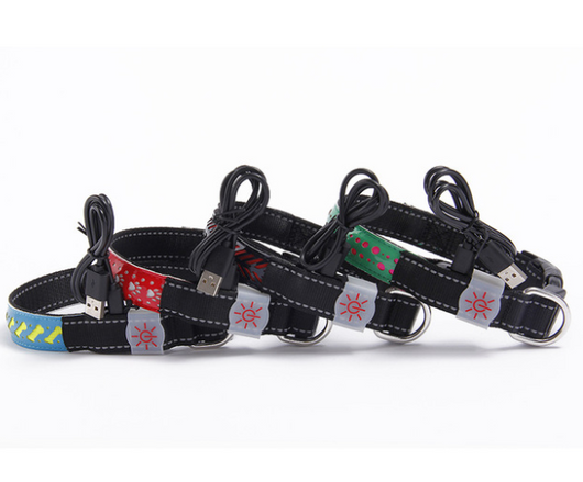 Collar LED Luminoso para Mascotas