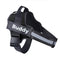Preto Baby1