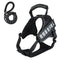 Black L