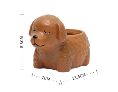 Maceta Decorativa Mascota Durmiente con Suculenta - Image 19