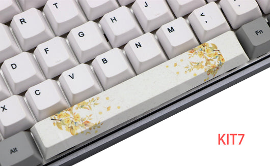 Keycap Mecánico PBT Sublimado de 5 Caras 6.25U - Image 32