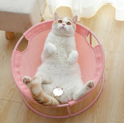 Cama Térmica para Gatos de Cuatro Estaciones - Image 12