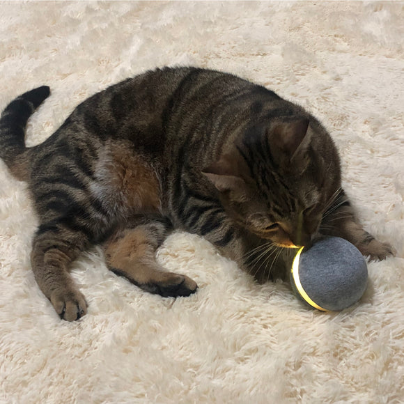 Pelota Saltarina Interactiva para Gatos
