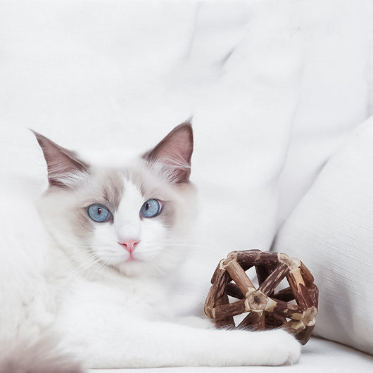 Natural catnip ball toy with a geometric cage made of dark and light brown wooden sticks for cats. - Image 2