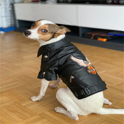 Chaqueta de Cuero con Bordado de Águila para Perros Pequeños - Image 11